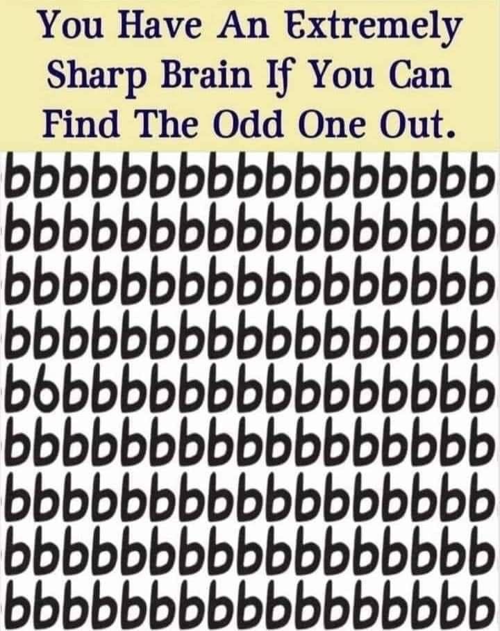 Can you find it?