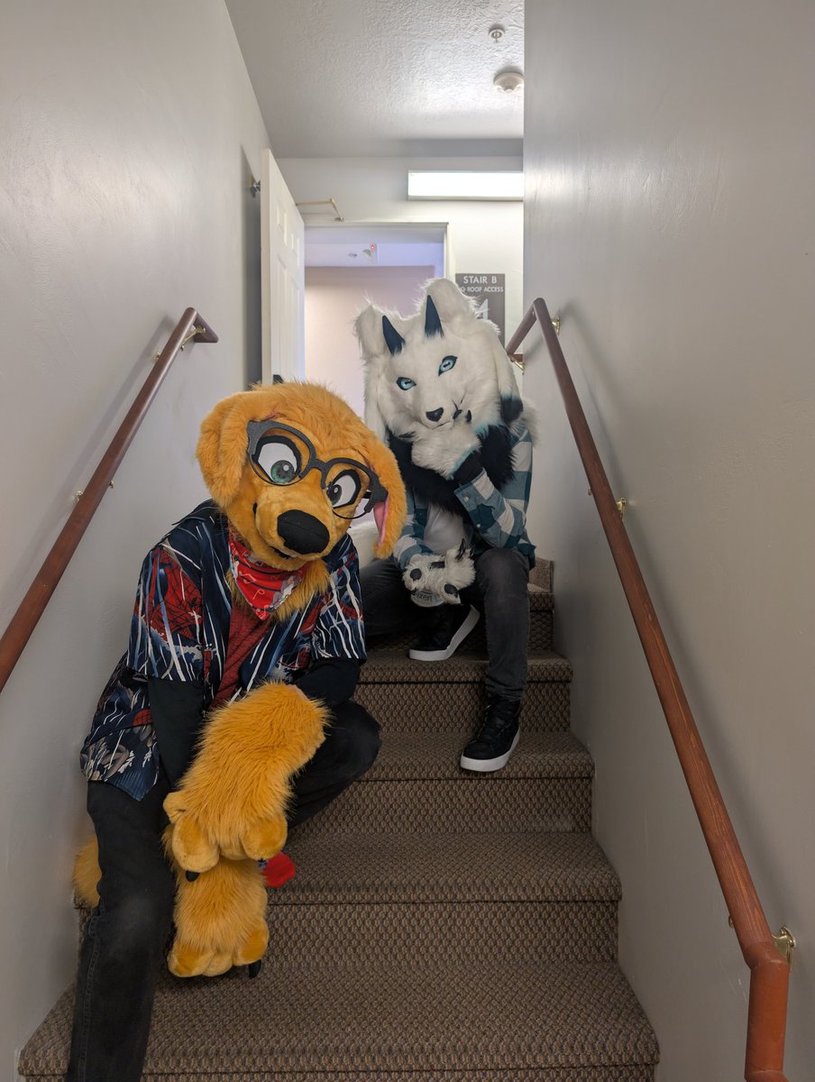 Reece's Pup 🏳️‍🌈🐶 tweet media