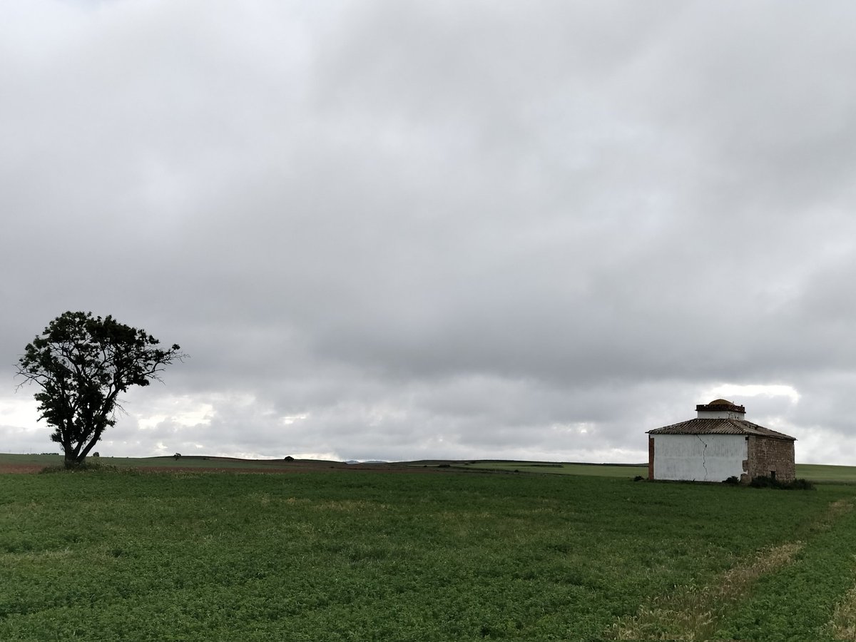 Una #Tarde desde #Palencia con #cielos grises <a href="/tiempobrasero/">Tutiempo</a> <a href="/ElTiempoes/">Eltiempo.es</a> <a href="/TiempoCyLTV/">El Tiempo en CyL</a> <a href="/ElTiempo_tve/">El Tiempo en TVE</a> <a href="/mbarreiro_tve/">Martín Barreiro</a> <a href="/el_tiempohoy/">El Tiempo Hoy</a> <a href="/sibilafc/">Silvia Ferrer</a> <a href="/lasextameteo/">La Sexta Meteo</a> <a href="/fcocachometeo/">Francisco Cacho</a> <a href="/ElTiempoA3/">El Tiempo de Antena 3</a> <a href="/HimarGonzalez/">Himar González</a> <a href="/Tiempo_Mercedes/">Mercedes Martín</a> <a href="/palentino/">palentino 🌾🌈❣️</a> <a href="/TurismoPalencia/">Turismo Palencia CyL</a> <a href="/Marijosesanz73/">M.J.</a>