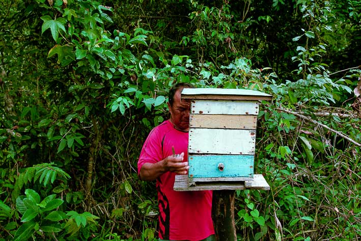 🌊#21Jun Día del #Apicultor

Descubre cómo las comunidades indígenas y la ciencia se unen para proteger a las abejas sin aguijón.

 Un relato fascinante sobre la naturaleza, el saber ancestral y la conservación. 

✍️ <a href="/SorianaDuran/">Soriana Durán</a>  📸 <a href="/YrleanaG/">Yrleana Gómez Oropeza</a> 

lainventadera.com/2024/11/30/gua…