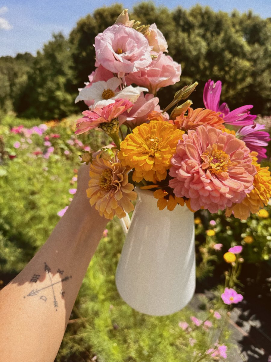 Kaitlyn Vincie tweet media