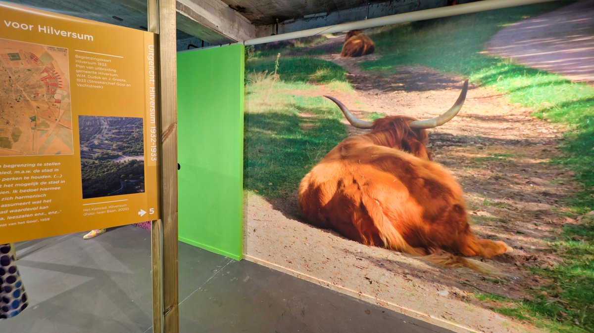 Vera Wandelt tweet media