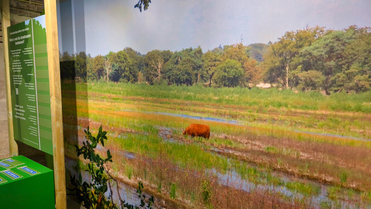 Ik ben bij de opening van de nieuwe tentoonstelling "Het landschap zijn wij" in het <a href="/DudokAC/">Dudok Architectuur Centrum</a> . Zes van mijn foto’s hangen daar levensgroot. Ze tonen de heide rondom Hilversum, gemaakt tijdens een wandeling. 
Blog 👉verawandelt.com/2025/06/21/mij…
<a href="/GemeenteHsum/">Gemeente Hilversum</a> <a href="/dudokwonen/">Dudok Wonen</a>