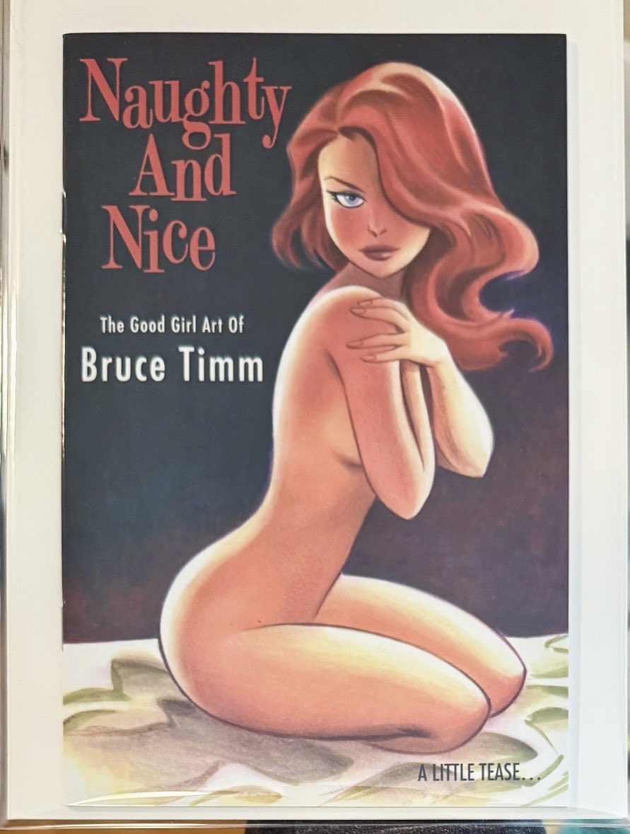 Bruce Timm recently put up some personal copies of this teaser sketchbook for sale so I was able to grab it. Signed too!