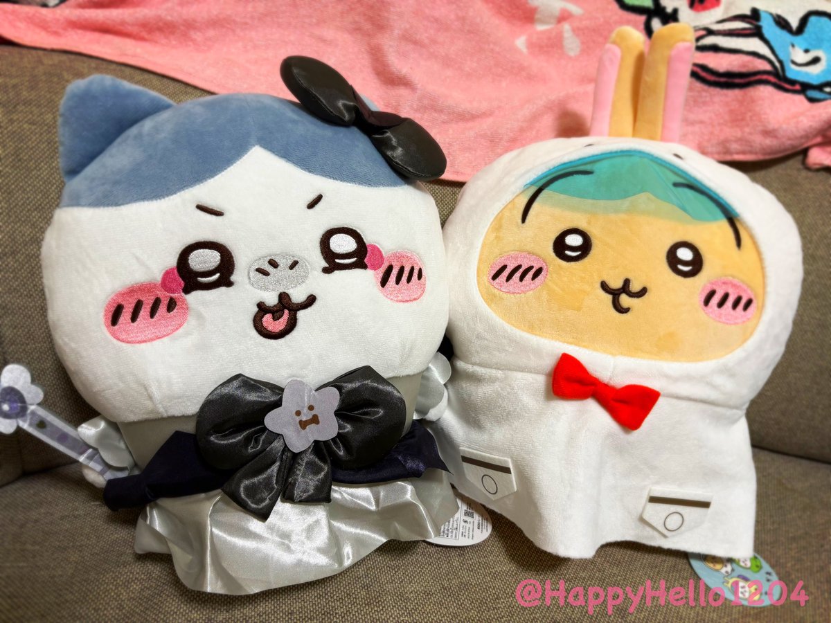 デカいぬい
取ってくるたび
怒られる

#ちいかわ