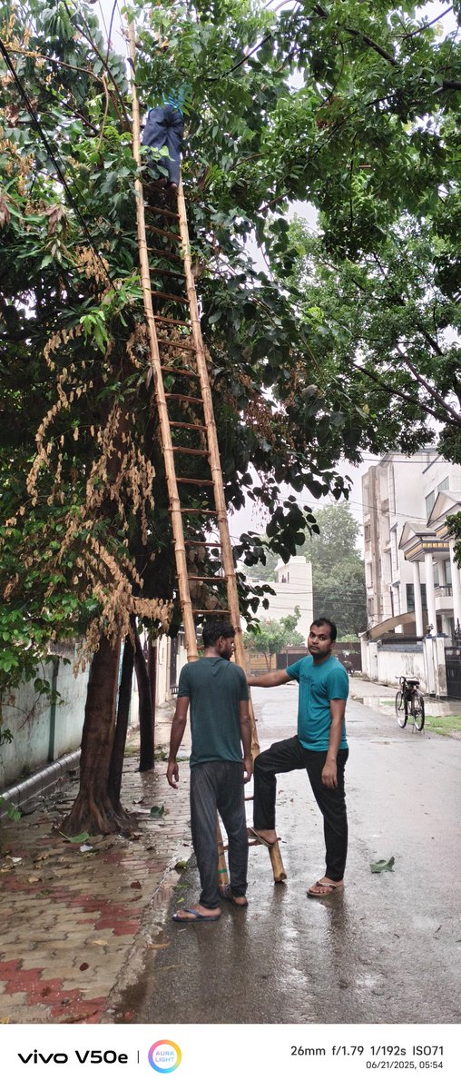 PUVVNL Varanasi (@puvvnlvaranasi) on Twitter photo #Maintenance
#рд▓рдХреНрд╖реНрдп_24X7_рдЙрдкрднреЛрдХреНрддрд╛_рд╕реЗрд╡рд╛
рди.рд╡рд┐.рд╡рд┐.рдЦрдгреНрдб-рдордврд╝реМрд▓реА рд╡рд╛рд░рд╛рдгрд╕реА рдХреЗ рд░рд╛рдиреАрдкреБрд░ рдЙрдкрдХреЗрдиреНрджреНрд░ рдХреЗ рдЕрдВрддрд░реНрдЧрдд рдХрд╛рд░реНрдорд┐рдХреЛрдВ рджреНрд╡рд╛рд░рд╛ рдУрд╡рд░рд╣реЗрдб рдХреЗ рддрд╛рд░реЛрдВ рдкрд░ рдкреЗрдбрд╝ рдХреА рдХрдЯрд╛рдИ рдПрд╡рдВ рдХреЗрдмрд▓ рдХреЛ рдЯрд╛рдИрдЯ рдХрд┐рдпрд╛ рдЧрдпрд╛ред рдЬрд┐рд╕рд╕реЗ рд╕реНрдкрд╛рд░реНрдХрд┐рдВрдЧ рд╕реЗ рдХреЛрдИ рдЖрдЧ рдирд╣реАрдВ рд▓рдЧреЗред
<a href="/aksharmaBharat/">A K Sharma</a> <a href="/ChairmanUppcl/">Chairman Uppcl</a> <a href="/mduppcl/">MDUPPCL</a>
<a href="/UPPCLLKO/">UPPCL</a> <a href="/PuVVNLHQ/">Purvanchal Vidyut Vitaran Nigam Limited</a> #Maintenance
#рд▓рдХреНрд╖реНрдп_24X7_рдЙрдкрднреЛрдХреНрддрд╛_рд╕реЗрд╡рд╛
рди.рд╡рд┐.рд╡рд┐.рдЦрдгреНрдб-рдордврд╝реМрд▓реА рд╡рд╛рд░рд╛рдгрд╕реА рдХреЗ рд░рд╛рдиреАрдкреБрд░ рдЙрдкрдХреЗрдиреНрджреНрд░ рдХреЗ рдЕрдВрддрд░реНрдЧрдд рдХрд╛рд░реНрдорд┐рдХреЛрдВ рджреНрд╡рд╛рд░рд╛ рдУрд╡рд░рд╣реЗрдб рдХреЗ рддрд╛рд░реЛрдВ рдкрд░ рдкреЗрдбрд╝ рдХреА рдХрдЯрд╛рдИ рдПрд╡рдВ рдХреЗрдмрд▓ рдХреЛ рдЯрд╛рдИрдЯ рдХрд┐рдпрд╛ рдЧрдпрд╛ред рдЬрд┐рд╕рд╕реЗ рд╕реНрдкрд╛рд░реНрдХрд┐рдВрдЧ рд╕реЗ рдХреЛрдИ рдЖрдЧ рдирд╣реАрдВ рд▓рдЧреЗред
<a href="/aksharmaBharat/">A K Sharma</a> <a href="/ChairmanUppcl/">Chairman Uppcl</a> <a href="/mduppcl/">MDUPPCL</a>
<a href="/UPPCLLKO/">UPPCL</a> <a href="/PuVVNLHQ/">Purvanchal Vidyut Vitaran Nigam Limited</a>