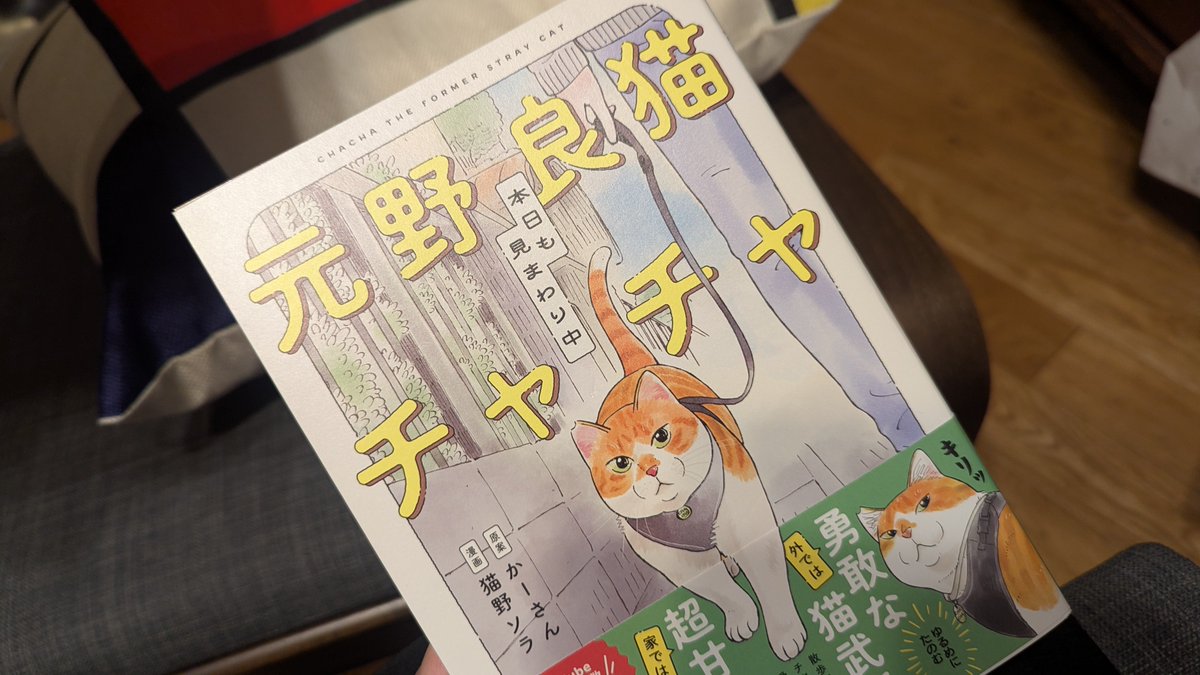 届いたにゃん♡
#元野良猫チャチャ