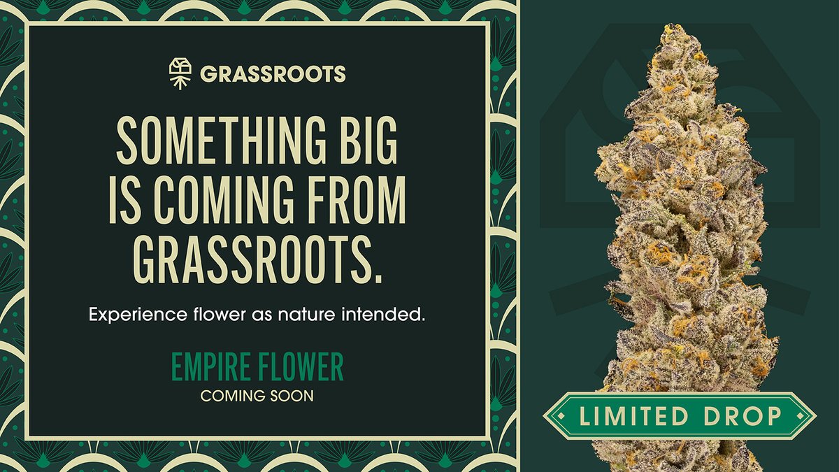 curaleafpa's tweet image. Something big is coming soon from Grassroots. 👀   Get ready to experience flower as nature intended. Premium cut and hand-trimmed, Empire Flower by Grassroots is a full sensory experience. Keep an eye out for this super limited drop–coming soon!