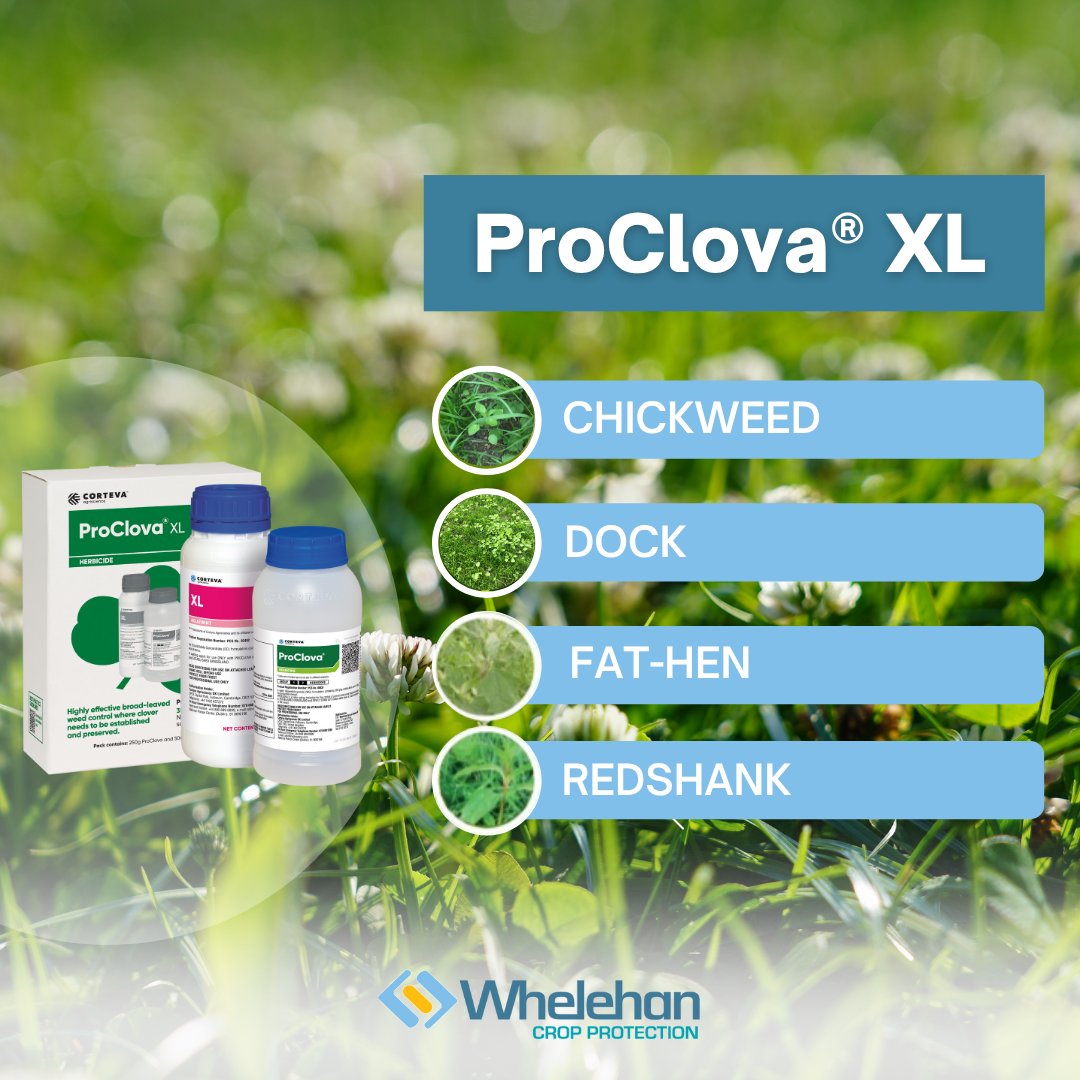 ProClova® XL,  your clover-safe solution for powerful weed control!

Say goodbye to seedling weeds such as redshank, fat-hen, chickweed, and docks in newly sown leys, all while keeping your clover healthy and thriving. 

Click to learn more: bit.ly/3QqwmnH 

<a href="/CortevaIE/">Corteva Ireland</a>