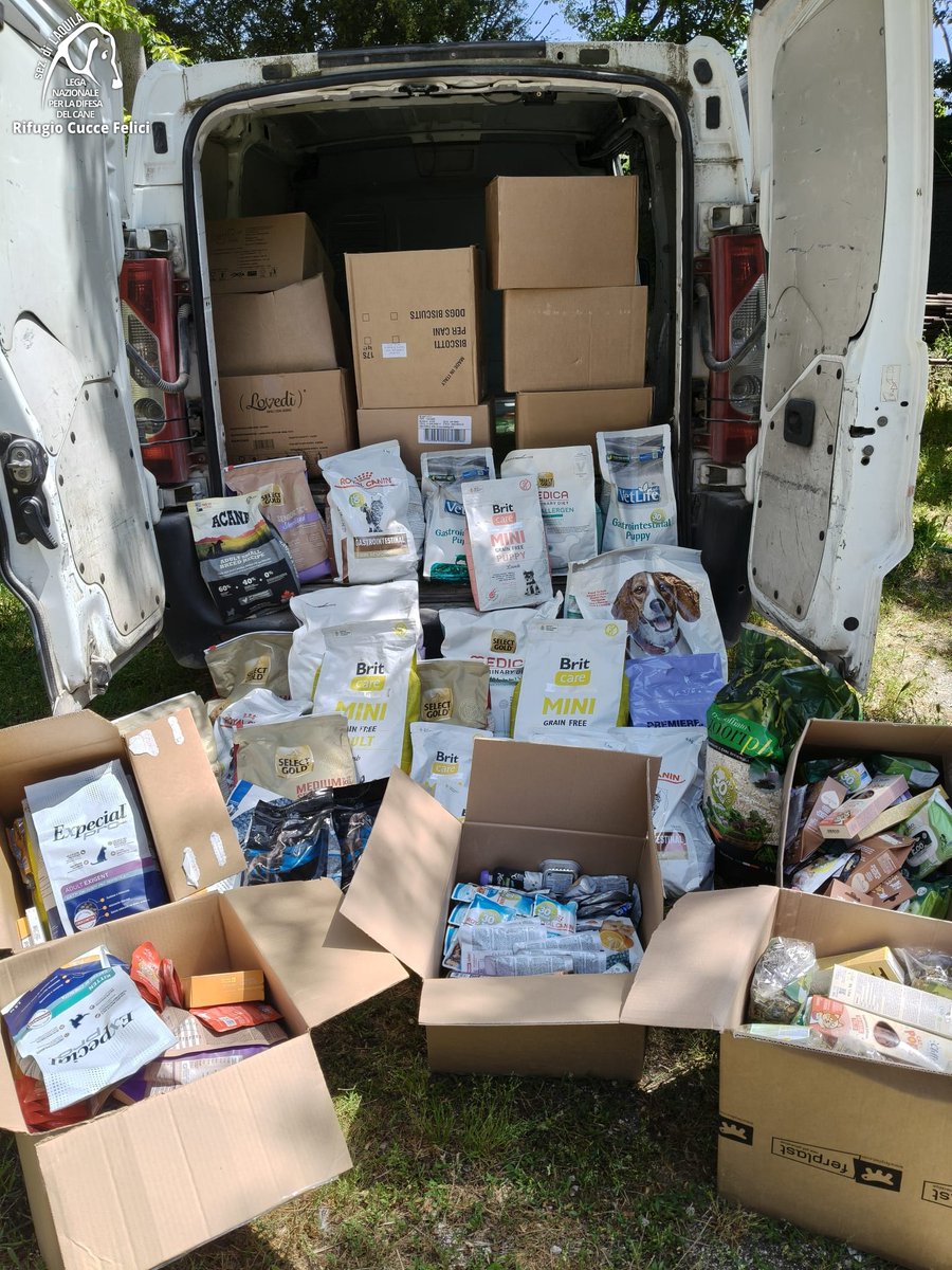 cuccefelici's tweet image. Grazie di cuore ad @Arcaplanet per aver scelto di sostenere i #randagi di #LAquila grazie al Progetto #Foodstock. Questa generosa donazione è molto importante per gli animali di cui ci occupiamo ogni giorno #spesasolidale #charitybox #foodstock #LegadelCane #rifugio #solidarietà