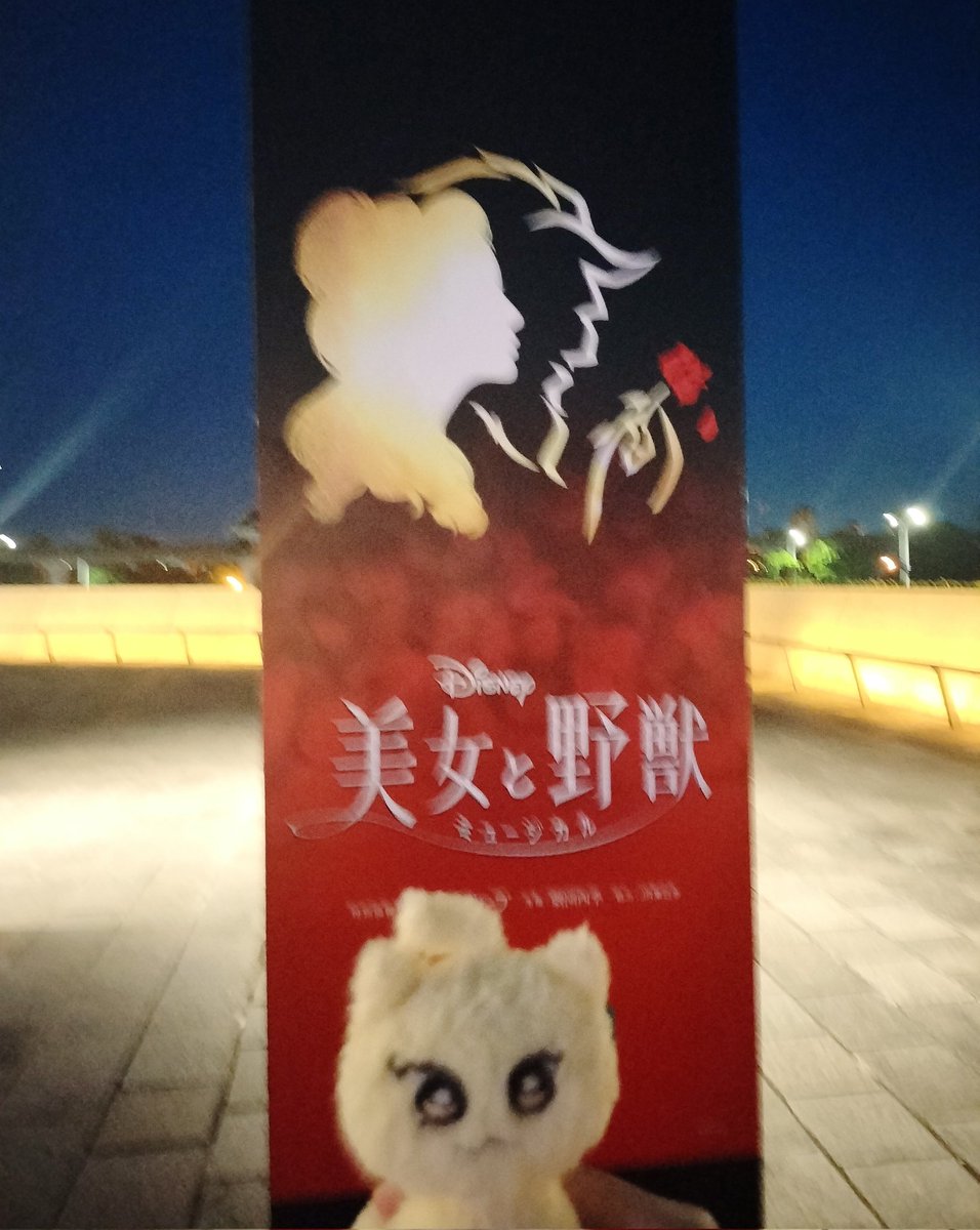 capnec2's tweet photo. 楽しかったね🥺🌹✨️ https://t.co/tonCyMOrXT