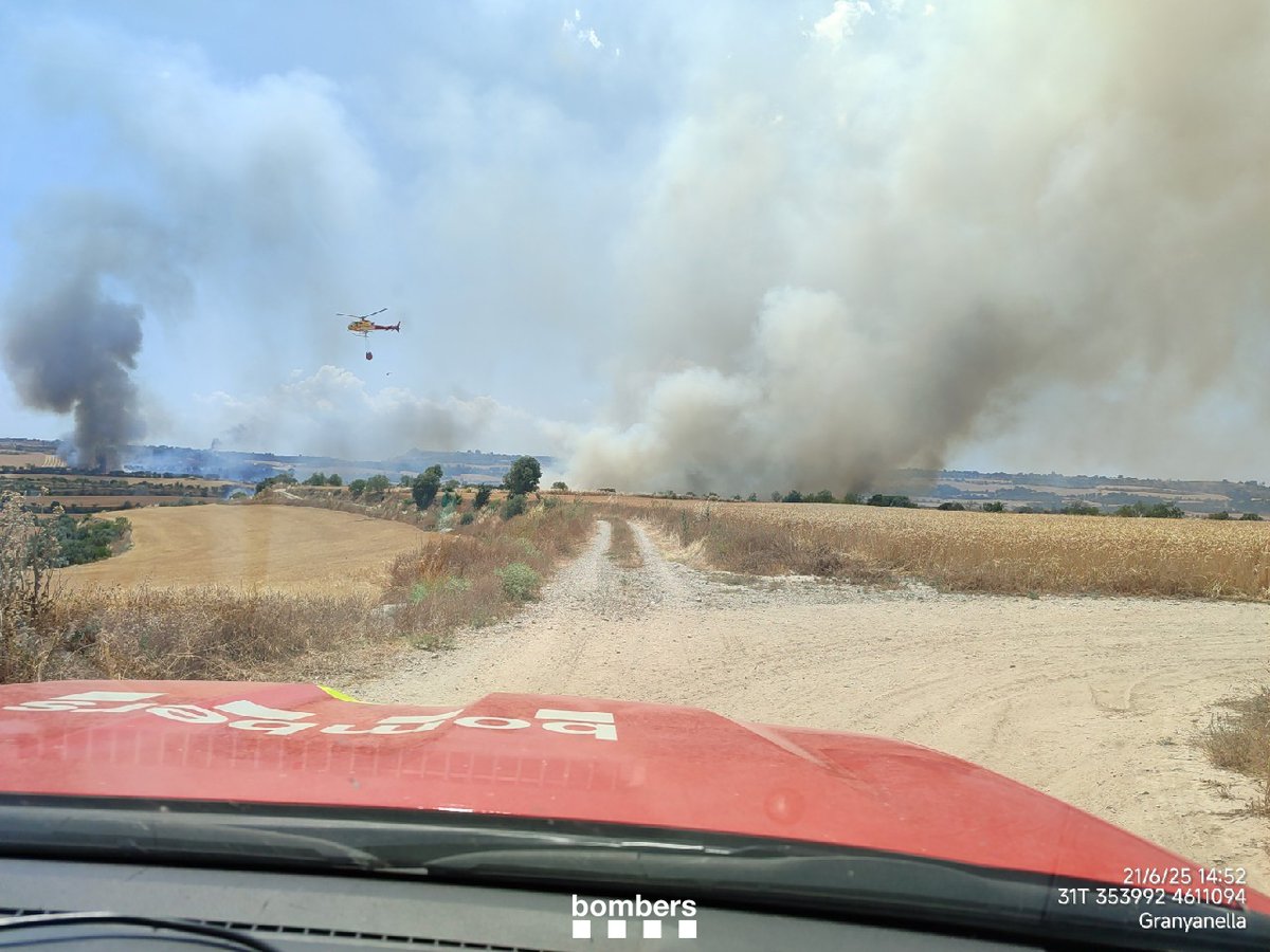 bomberscat's tweet image. A Granyena de Segarra, l'#IFGranyenaDeSegarra continua actiu i progressant per camps de conreu per segar. Treballem amb 24 🚒 i 6 mitjans aeris #MAER que prioritzen ara les descarregues al cap - flanc esquerre. Treballem amb foc tècnic el cap - flanc dret

#bomberscat
