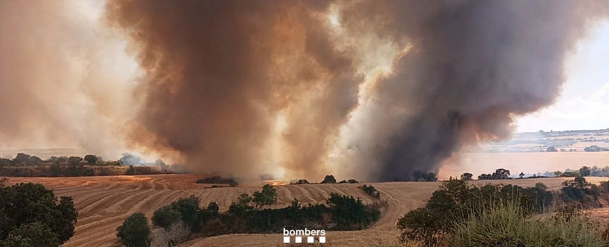 bomberscat's tweet image. A Granyena de Segarra, l'#IFGranyenaDeSegarra continua actiu i progressant per camps de conreu per segar. Treballem amb 24 🚒 i 6 mitjans aeris #MAER que prioritzen ara les descarregues al cap - flanc esquerre. Treballem amb foc tècnic el cap - flanc dret

#bomberscat
