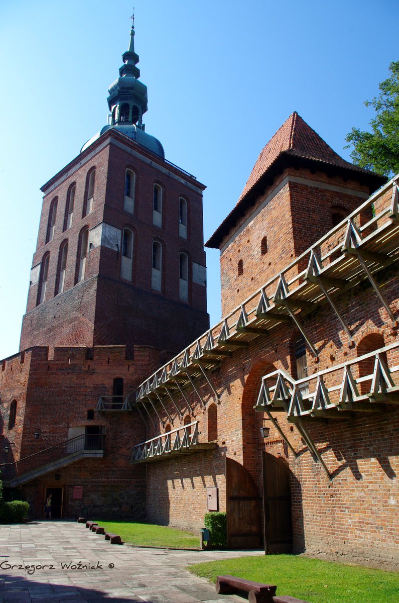 jurajczyk's tweet photo. Łysy #Kopernik we #Frombork.u... 😁 https://t.co/OafWi2Y424