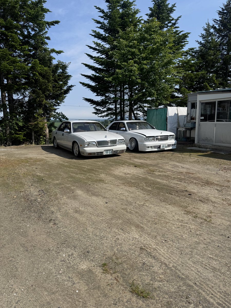 Dora__5's tweet photo. 今度は純ベタで https://t.co/R3A8CiqLr1