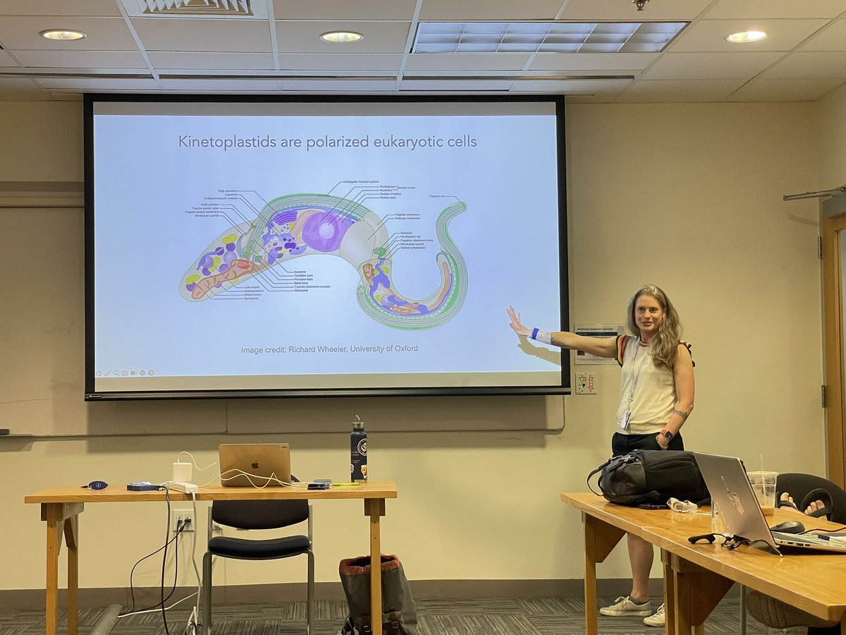 It all comes down to the flagella!

#MBLBoP2025