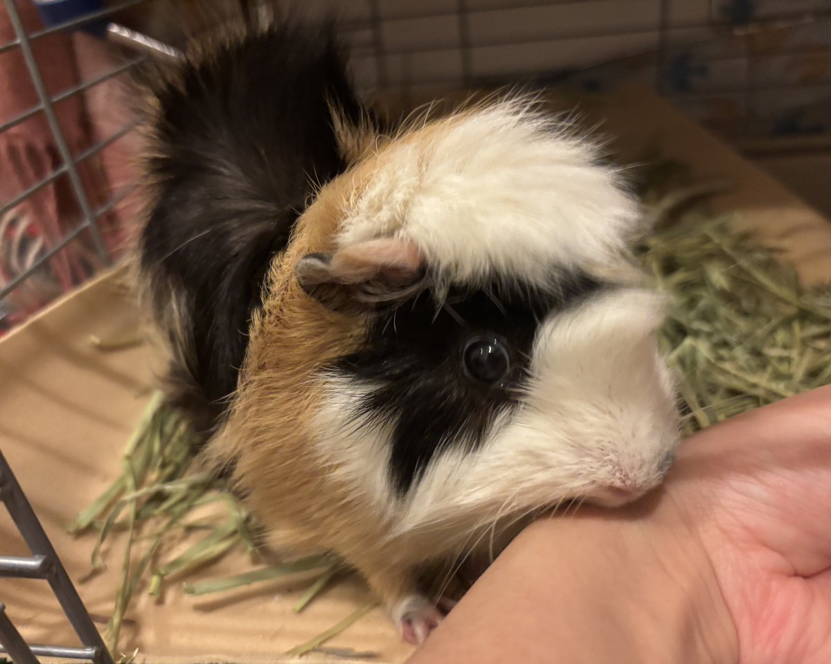 みるく＆ちょこ tweet media