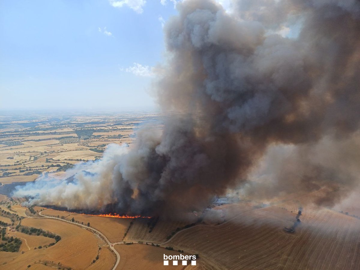 bomberscat's tweet image. A Granyena de Segarra, l'#IFGranyenaDeSegarra continua actiu i progressant per camps de conreu per segar. Treballem amb 24 🚒 i 6 mitjans aeris #MAER que prioritzen ara les descarregues al cap - flanc esquerre. Treballem amb foc tècnic el cap - flanc dret

#bomberscat