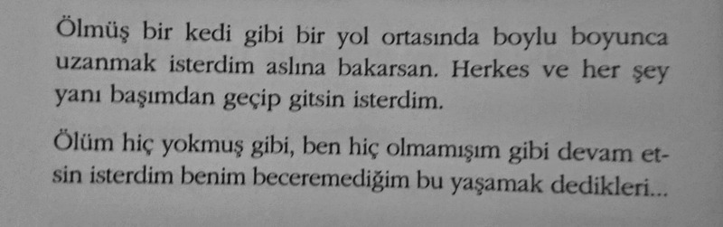 harfi harfine böyle, arkamdan ağlayacak bir annem olmaz idi