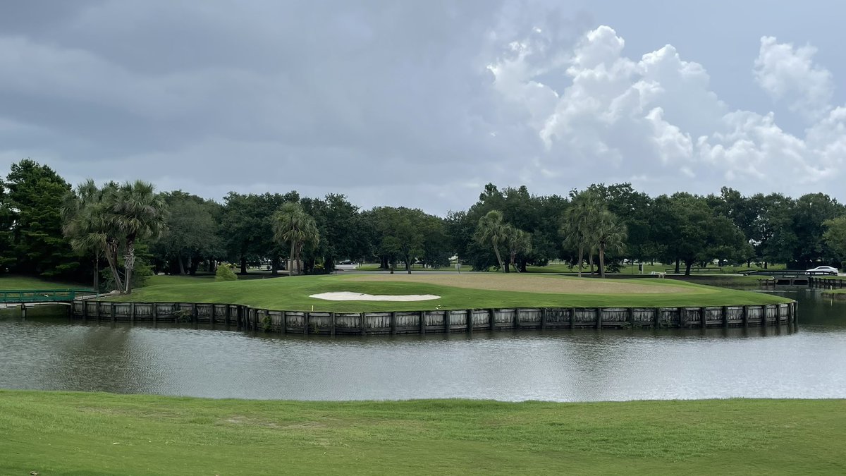 Nathan Crace, ASGCA, PLA (@lipouts) on Twitter photo They're so cute at this age...
Impressive new growth on <a href="/PlatinumTE/">Platinum TE Paspalum</a> Paspalum after only 9 days on the new greens at Pelican Point Golf & CC in south Louisiana. Superintendent Mike Robinson has things moving along! They're so cute at this age...
Impressive new growth on <a href="/PlatinumTE/">Platinum TE Paspalum</a> Paspalum after only 9 days on the new greens at Pelican Point Golf & CC in south Louisiana. Superintendent Mike Robinson has things moving along!