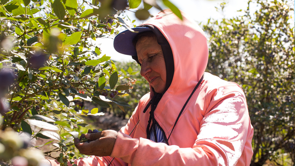 A partir del 1 de julio, el RENATRE actualiza la prestación por desempleo: el monto máximo será de $273.000 y el mínimo, $136.500.

La suba representa un 5% adicional respecto al aumento anterior de mayo. <a href="/renatreinforma/">RENATRE</a> 

campodirecto.com.ar/el-renatre-inc…