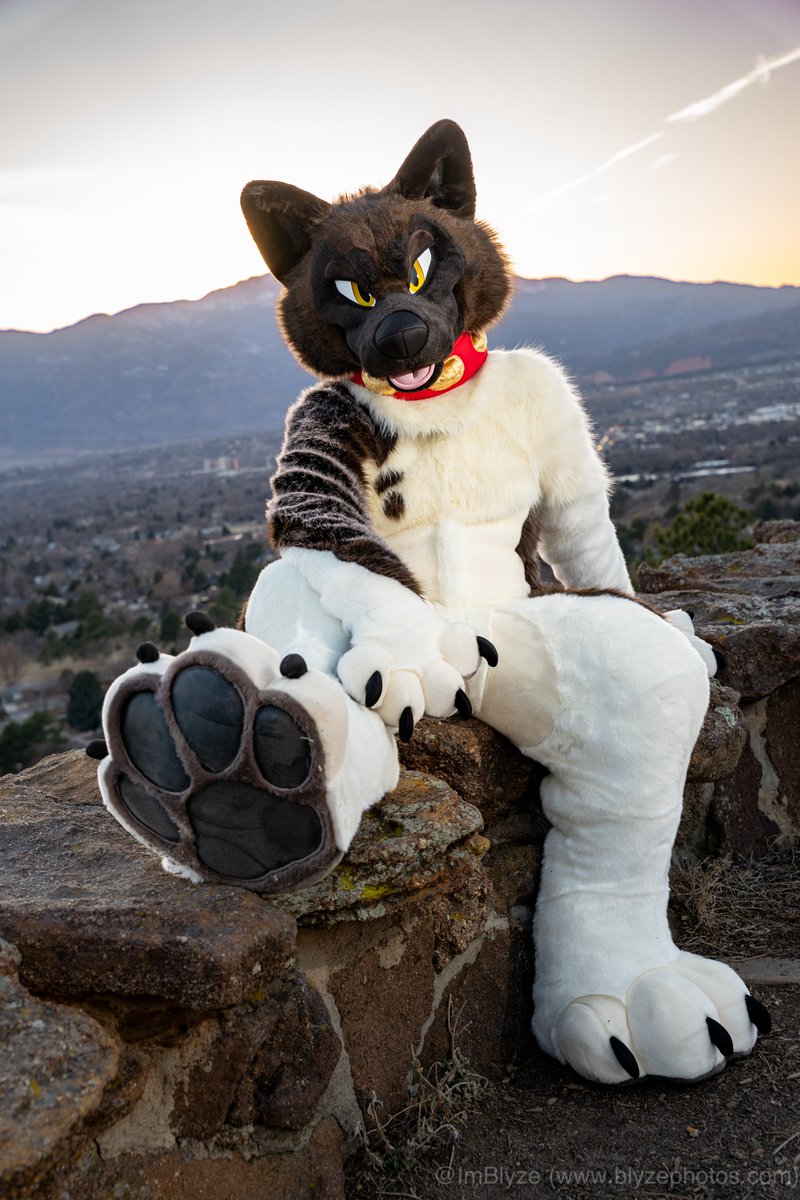 Seirei no Senshi tweet media