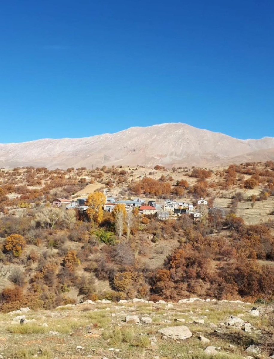 Herkesin bir umudu vardır 
Bir savaşı, bir kaybedişi
Bir acısı bir yalnızlığı 
Bir hüznü...
Çünkü herkesin bir gideni vardır. 
İçinden bir türlü uğurlayamadığı...

  Turgut Uyar 

Munzur Dağının eteklerinde Kemaliye köylerinden bir görsel ile tüm dostlara selamlar 🌾🌻🌳