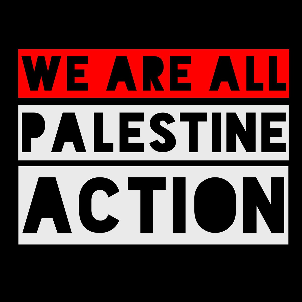 Palestine Action NL tweet media