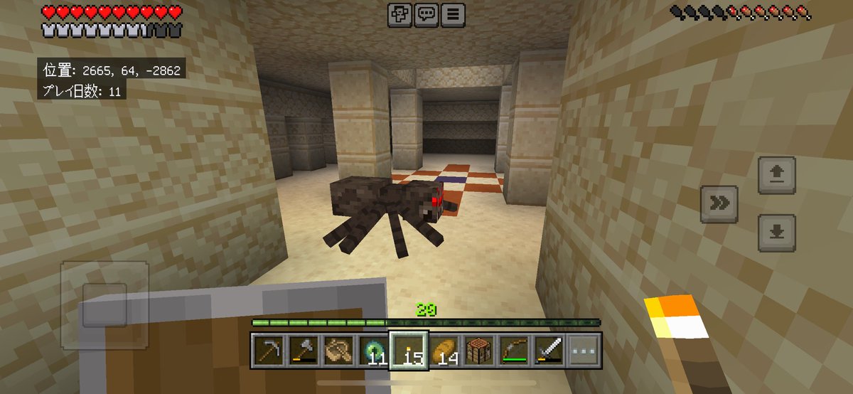 入口砂で埋まってますやん。中入ったら蜘蛛いますやん。管理どうなってんのよ、まったく。なんて小言を言いワクワクしてる僕。なんだったらブラシ持ってきたいくらいだ。
#Minecraft #マイクラ #ワクワクが止まらないクラ