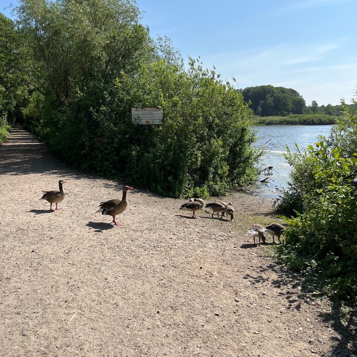 🏗️ Der Bau-Boom in Polen ist nicht zu stoppen! 🔨 Neue Projekte, modernes Design und Wachstum überall. Was glaubt ihr, wie sich das entwickelt? 🚀 #BauBoom #Polen #Architektur #Wirtschaft