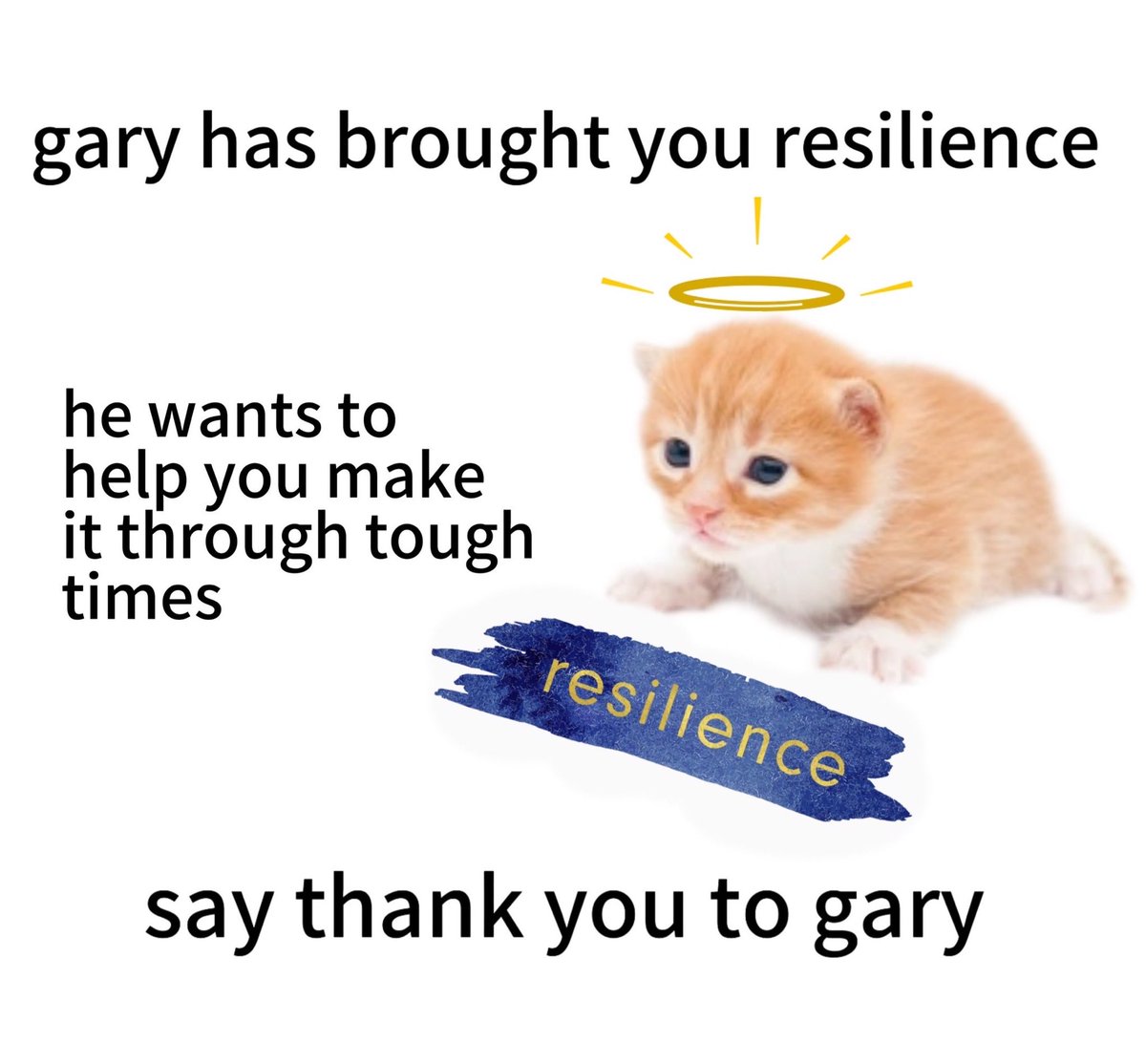 thankyougary__'s tweet photo. thank you gary 🤍 https://t.co/we542voJ37