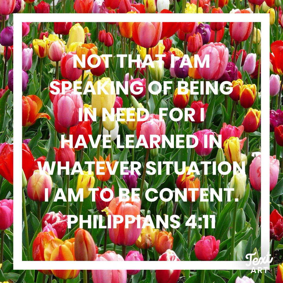 Linda Hoenstine (@lindah71170) on Twitter photo 