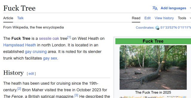 happy pride to the fuck tree i guess