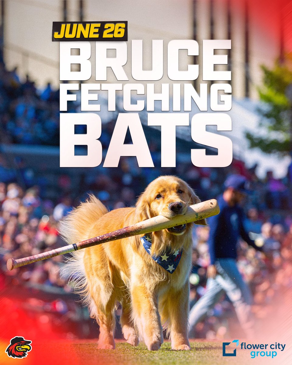 RocRedWings's tweet photo. 🐾 BRUUUCCE The Bat Dog IS BACK!
Catch the legend in action as he fetches bats and wins hearts at the ballpark — Thursday, June 26 🐶

⚾ Red Wings vs. Syracuse | First pitch: 6:45 PM
🍽️ Duel of the Dishes – Plates vs. Plates
🧊 Plates Koozie Giveaway – First 1,000 fans 21+ 
🍻 $2 beers during pregame Happy Hour
🎓 College Night deal: $16 = game ticket + $5 Diamond Dollars to spend

Come for Bruce. Stay for beer, giveaways, and the ultimate food fight.

👇 Tickets start at just $14 -> https://t.co/OynY3wfGa2