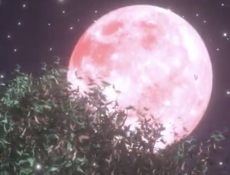 penghonie's tweet image. illit and enhypen having their lores connected IM SO HYPED