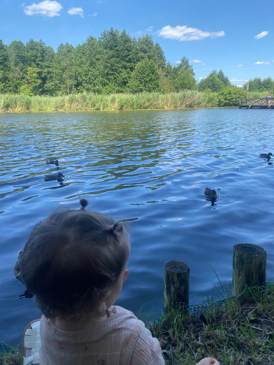 _adaeternitatem's tweet image. Czysta miłość 🥹🌿
