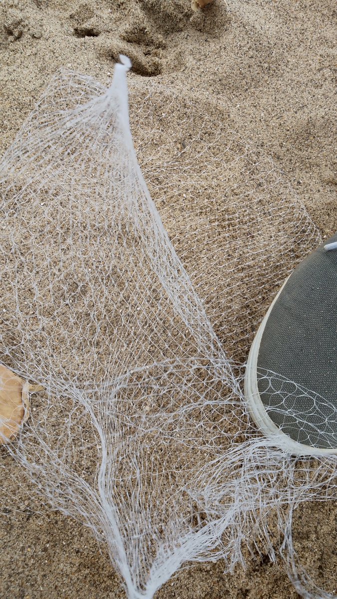 A very warm Beach clean today. Thank you Cllr Mike Beecham who joined us to help. A big Thank you EVERYONE as today was really busy and 13 bags cleared in just over an hour. The beach and prom were extremely busy. #LincsConnect