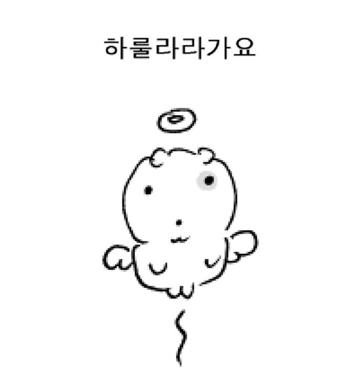 행쿼 (@yys0105_h) on Twitter photo 