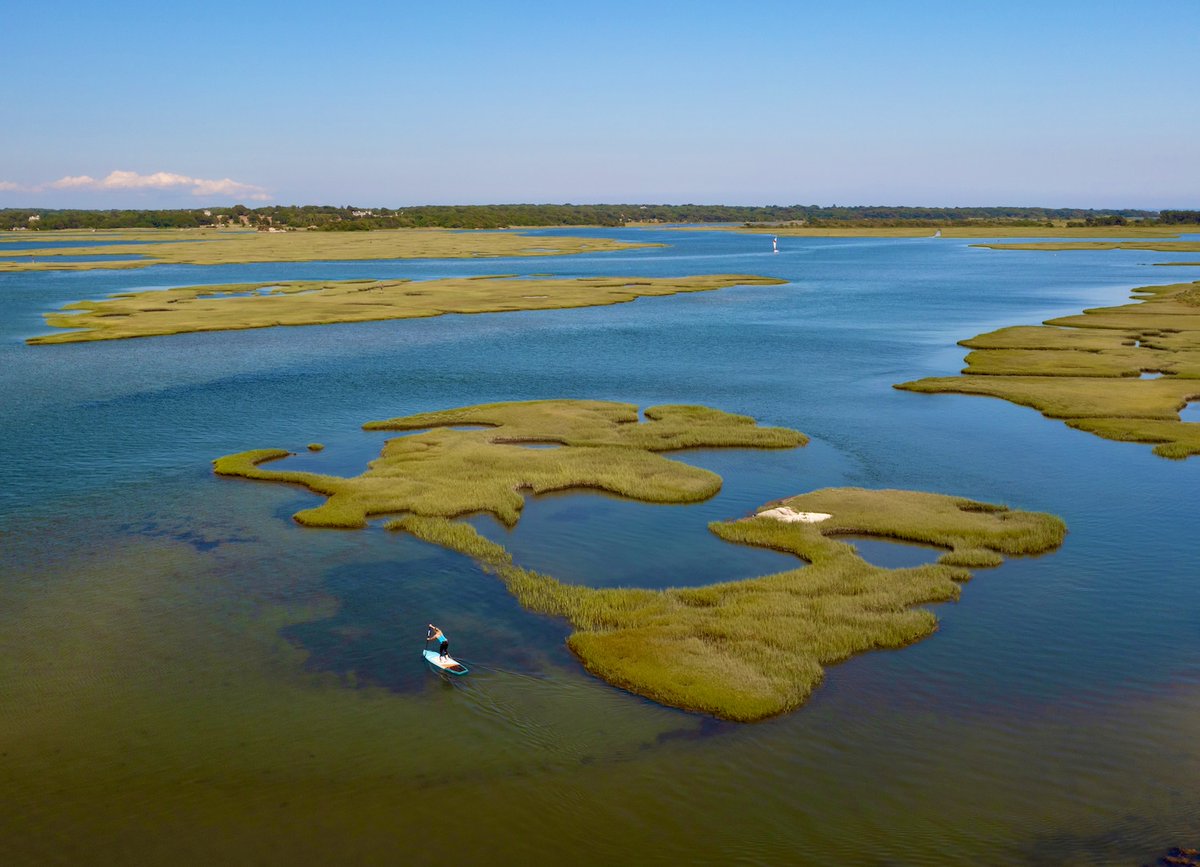 Did you hear that?? 👂
Adventure is calling…

The Mangrove was made for moments like this—stable, smooth, and ready to explore every hidden corner. 

#SICMaui #sicsuplife #boundbywater