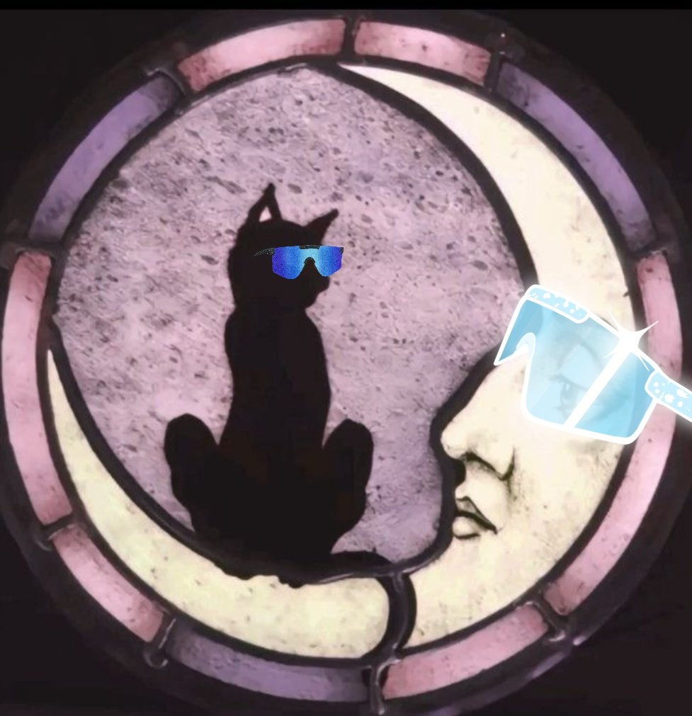 𝖌𝖔𝖔𝖉𝖓𝖎𝖌𝖍𝖙 𝖈𝖔𝖚𝖘𝖎𝖓𝖘 🐈‍⬛🌛