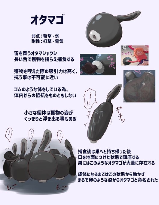 【NSFW】オタマゴとその成体について 