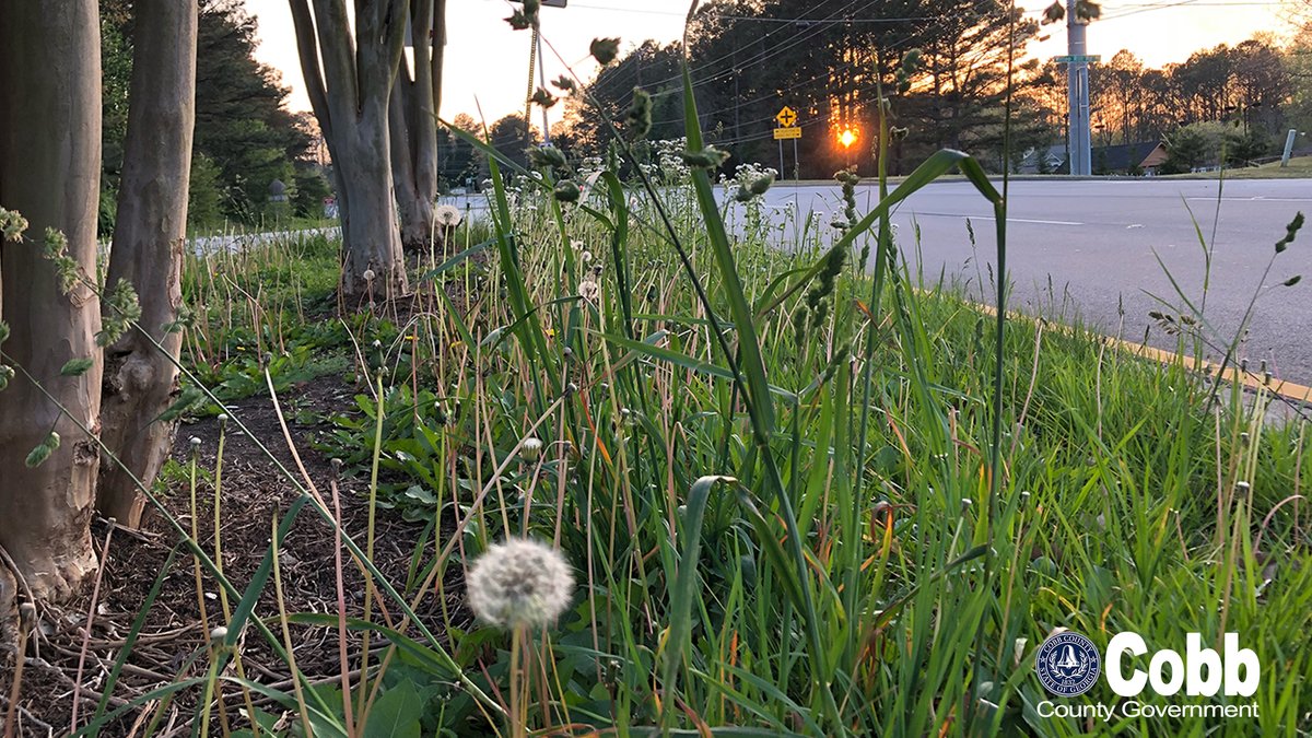 cobbcountygovt's tweet image. ☀️ Dry weather is finally on the way!
After weeks of storms, Cobb DOT crews are ready to catch up on roadside maintenance.

Since May:
🌧️ 117 flooded roads
🌳 438 tree calls

Thanks for your patience as crews fan out to get the job done!
#CobbCounty #CobbDOT #RoadUpdate
