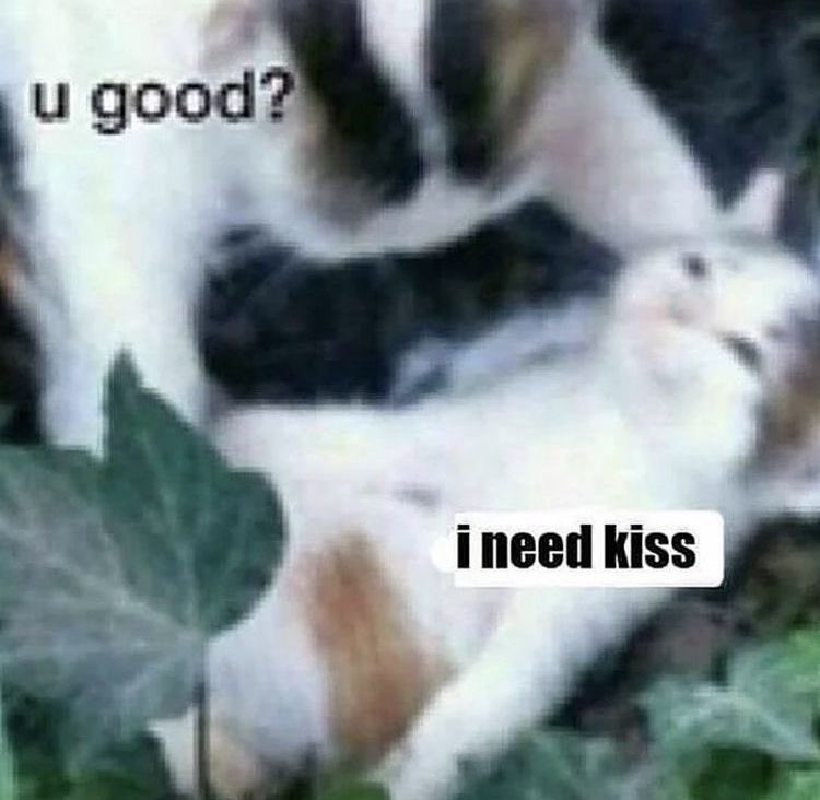 ♡ (@softheavens) on Twitter photo 