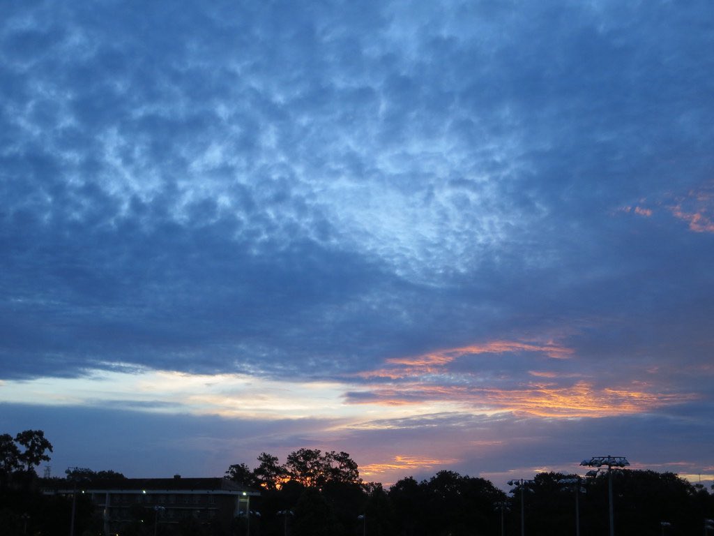 FL Storm Curry (@flstormcurry) on Twitter photo Good Morning βοΈπ
Back on FIELD 14
<a href="/BackwardsKJax/">Backwards K Softball</a>
10:30 AM and 12:00 PM
β
π to survive #Newberry :
#BringSunscreen βοΈ
#BringUmbrella βοΈ βοΈ
#BringBugSpray π π¦
#BringChair πͺ
#LotsOfSnacks
<a href="/UTampaSoftball/">Tampa Softball</a>
<a href="/FAMU_Softball/">Florida A&M Softball π₯</a>
<a href="/BamaStateSB/">Alabama State Softball</a>
<a href="/StetsonSoftball/">Stetson Softball</a>
<a href="/BCUsoftball/">Bethune-Cookman Softball π₯</a> Good Morning βοΈπ
Back on FIELD 14
<a href="/BackwardsKJax/">Backwards K Softball</a>
10:30 AM and 12:00 PM
β
π to survive #Newberry :
#BringSunscreen βοΈ
#BringUmbrella βοΈ βοΈ
#BringBugSpray π π¦
#BringChair πͺ
#LotsOfSnacks
<a href="/UTampaSoftball/">Tampa Softball</a>
<a href="/FAMU_Softball/">Florida A&M Softball π₯</a>
<a href="/BamaStateSB/">Alabama State Softball</a>
<a href="/StetsonSoftball/">Stetson Softball</a>
<a href="/BCUsoftball/">Bethune-Cookman Softball π₯</a>