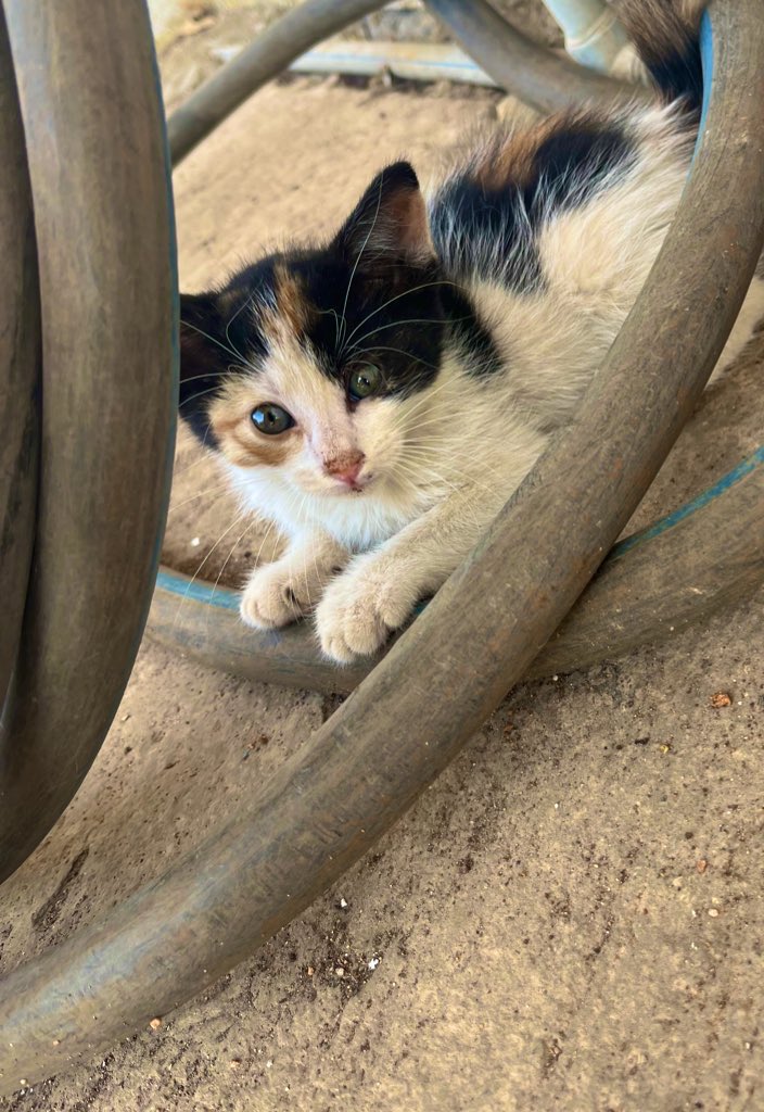 En çok sizi 💙❤️🧿