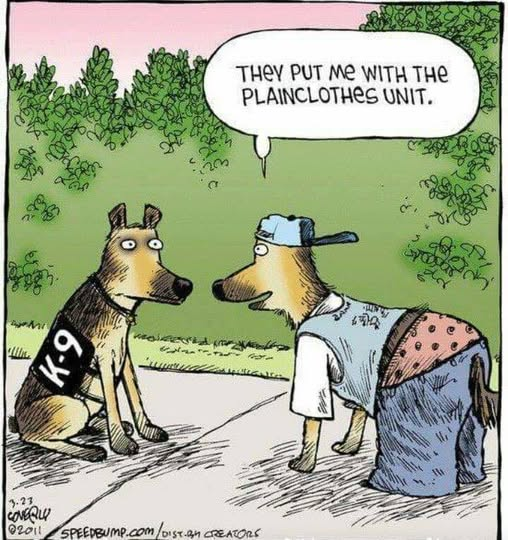 KLind62526's tweet photo. #OPLiveNation #OPLive #K9Cops https://t.co/9KNXIjwclg