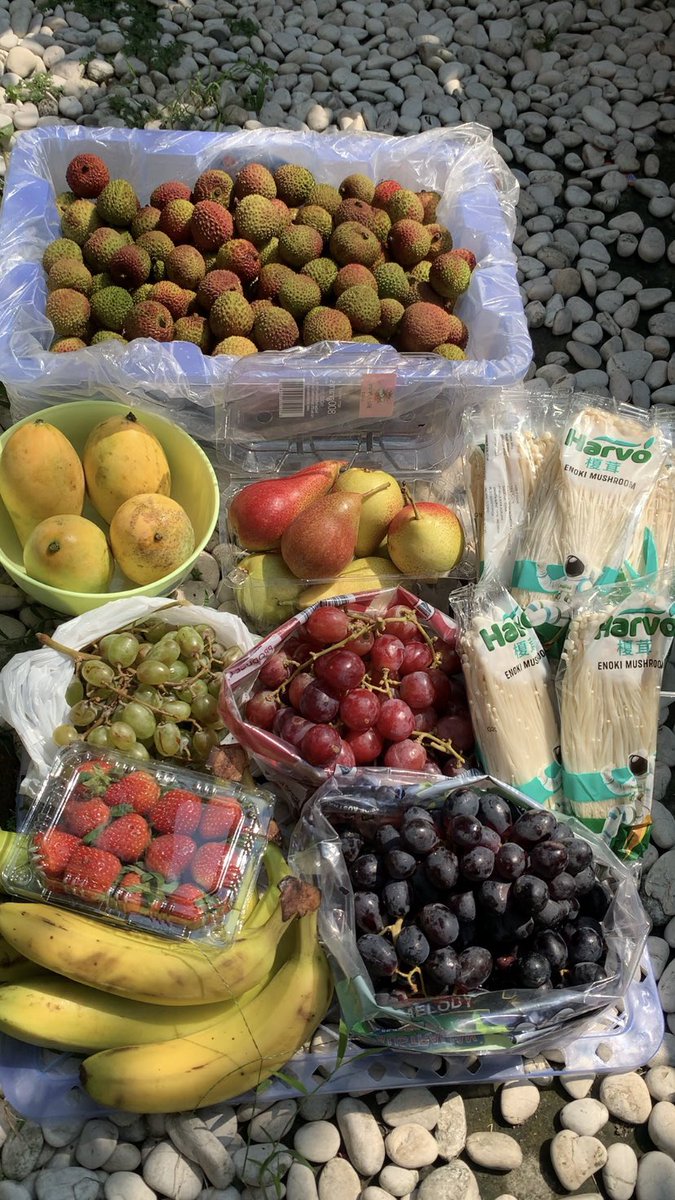 whatheffbruh's tweet image. makasi yang udah jastip buah di aku hari ini guys🫶🏻 semoga suka dan sehat yea karna mam buah🥭🍊🍌🍓🍐🍇
ada yg pesen alpukat tapi ga kefoto huu