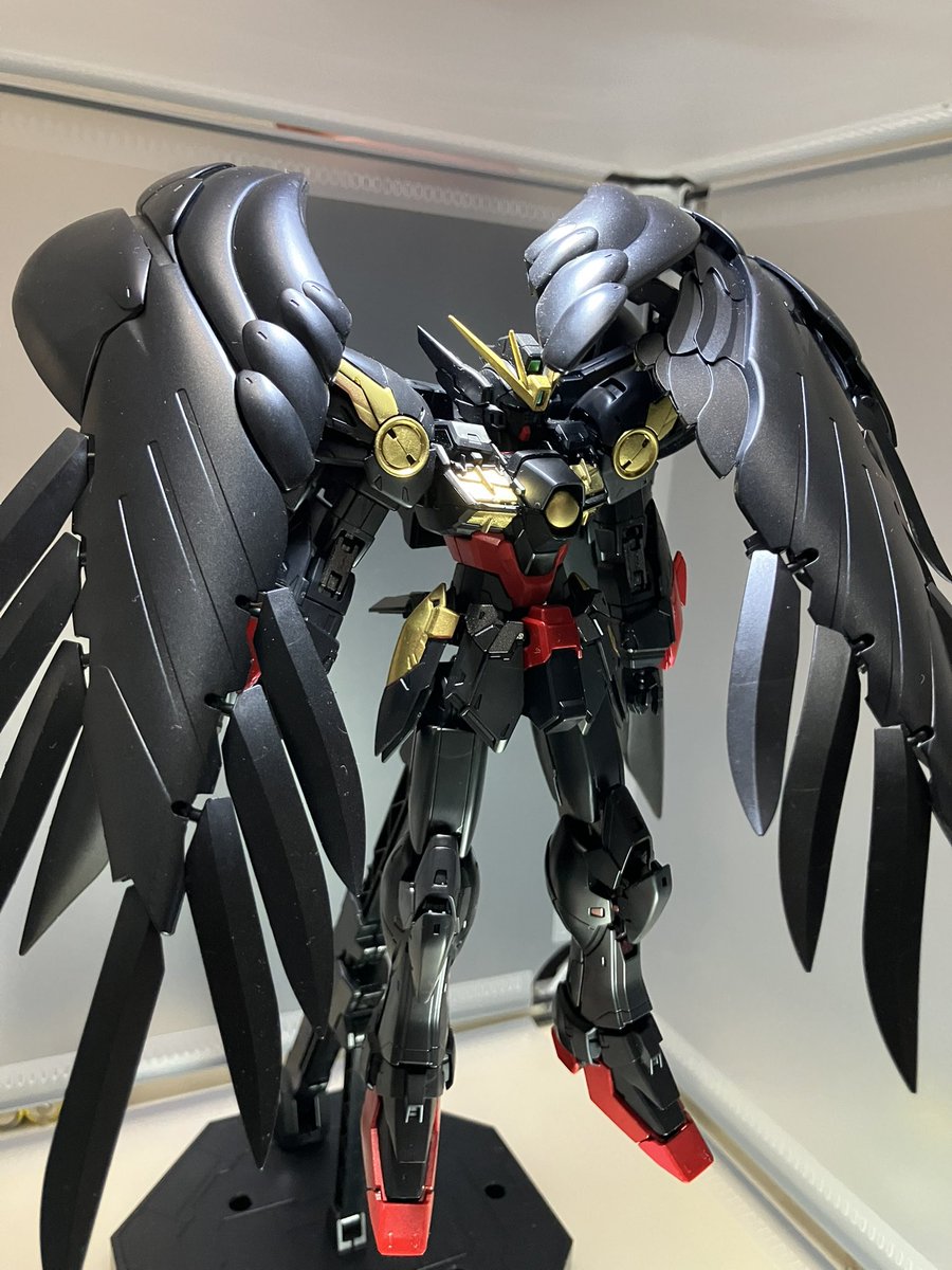 パディアス tweet media