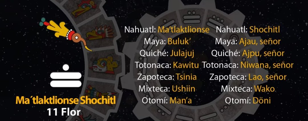 El tonal de hoy es "11 Flor - Ma´tlaktlionse Shochitl" 21/06/25

Día 11 Flor
2 de la veintena de Tekuilwitontli
Año 9 Lluvia
51 del 19 Atado
5147 del Quinto Sol
25947 del ciclo de precesión de los equinoccios.
#21deJunio de 2025.
#IglesiaTolteca #ULTIMAHORA #México #FelizSábado