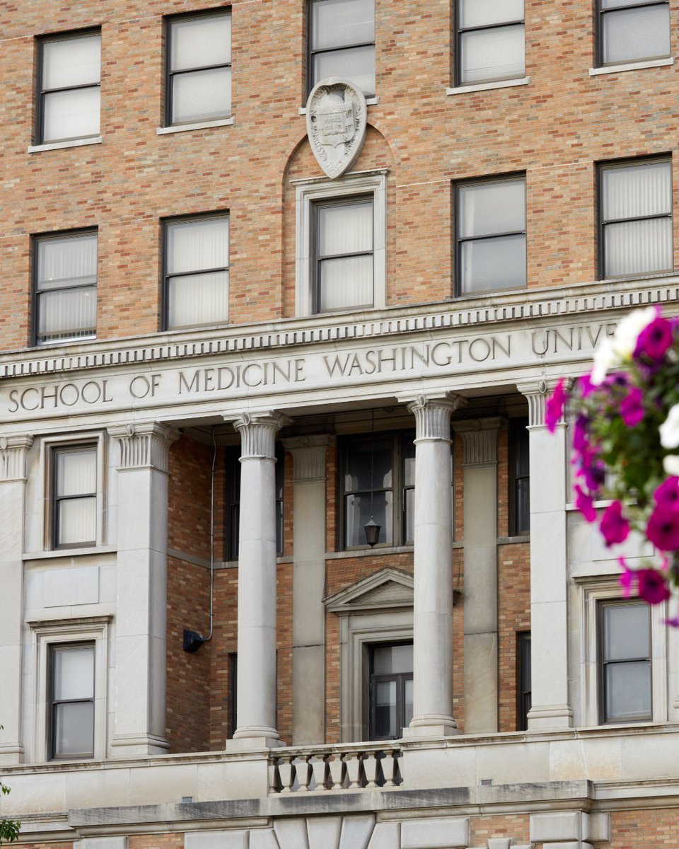 Three members of WashU Medicine Neurology have been nominated and elected into the WashU Medicine Chapter of Alpha Omega Alpha (AΩA) Honor Medical Society:

Brendan Lucey, MD (faculty)
Asher Albertson, MD, PhD (alumni)
Tanner Hoke, MD (house officer)
bit.ly/4kn8LkL